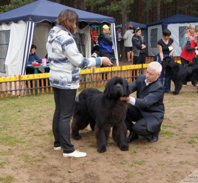 Фотография № 73419