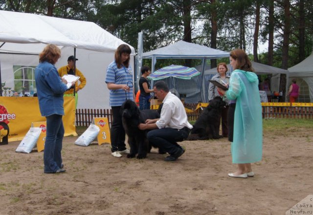 Фотография № 73423