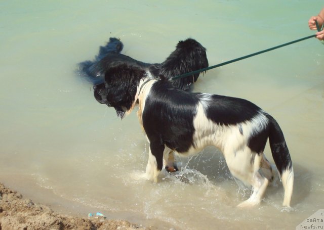 Фотография № 73457