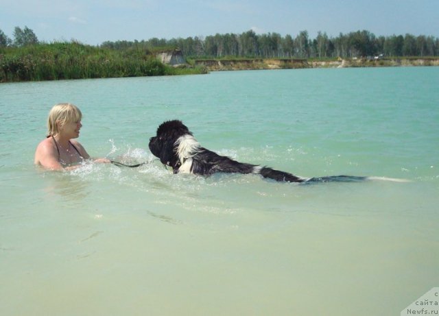 Фотография № 73458