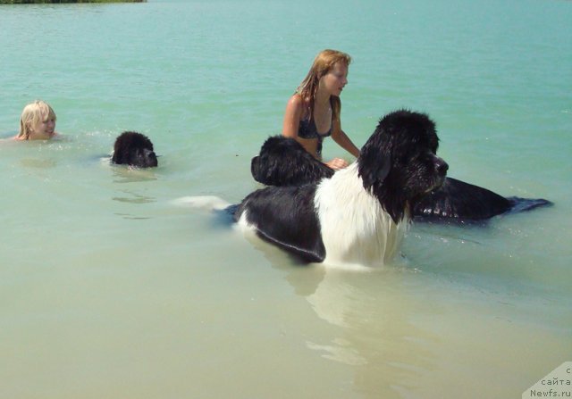 Фотография № 73459