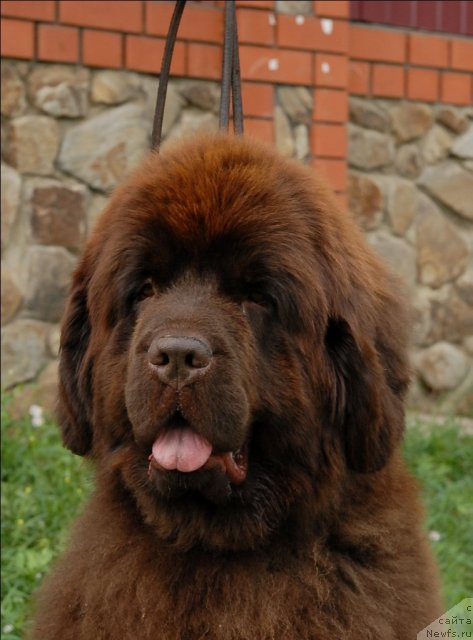 Фотография № 73471