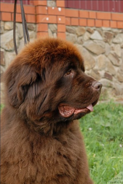 Фотография № 73472