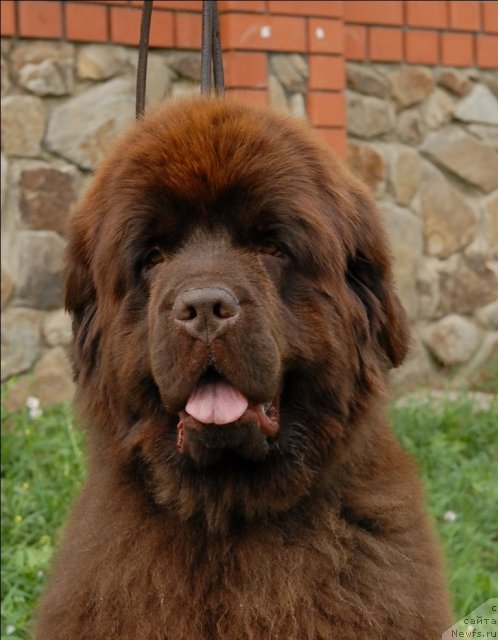 Фотография № 73473