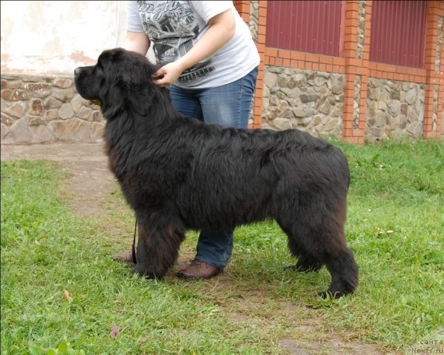 Фотография № 73476