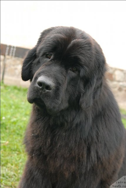 Фотография № 73478