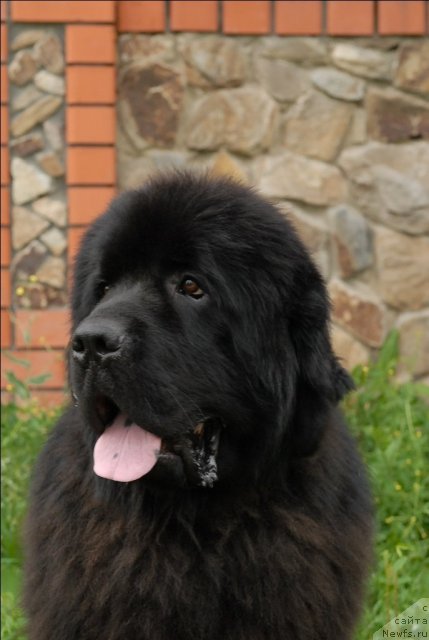 Фотография № 73482