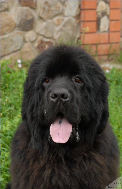 Фотография № 73484