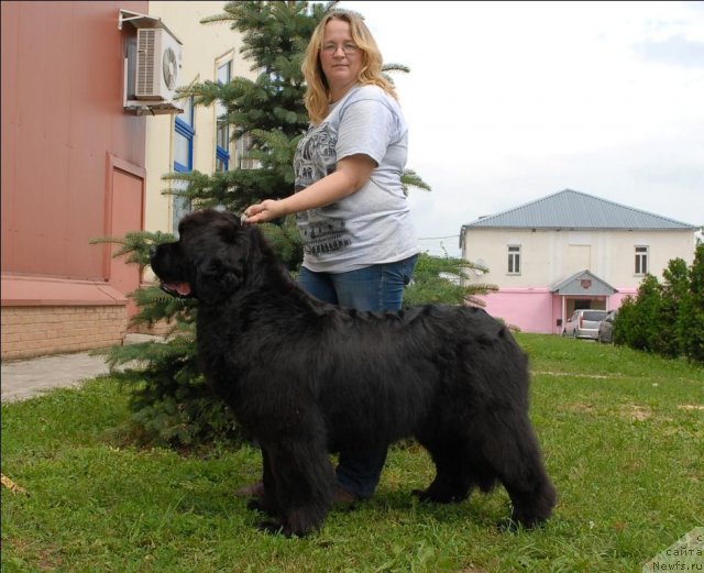 Фотография № 73486