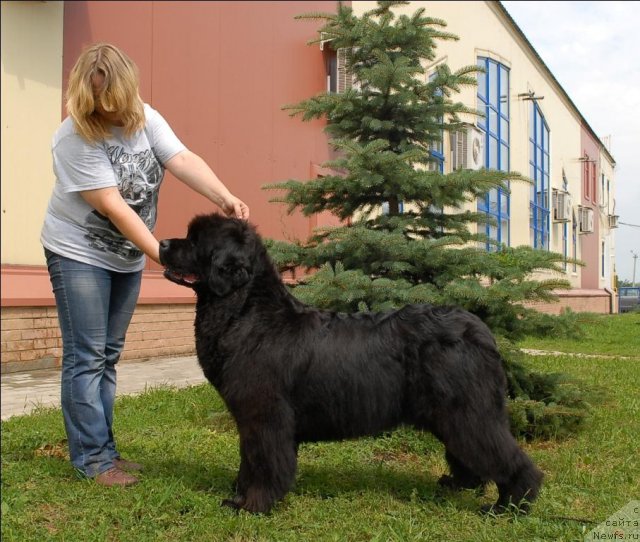 Фотография № 73492