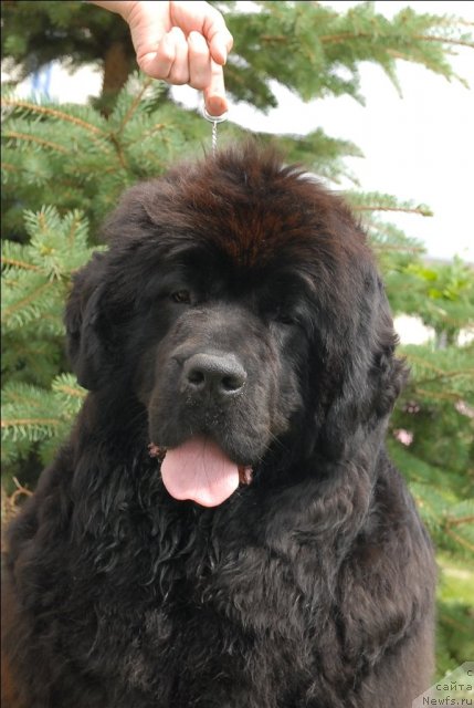 Фотография № 73494