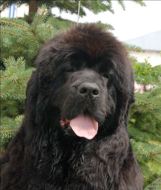 Фотография № 73502