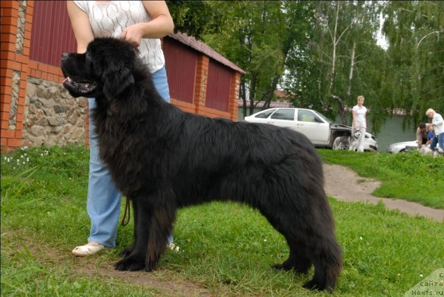 Фотография № 73503