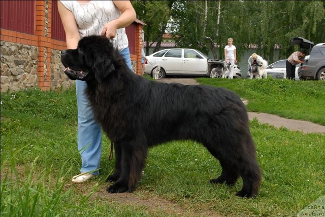 Фотография № 73504