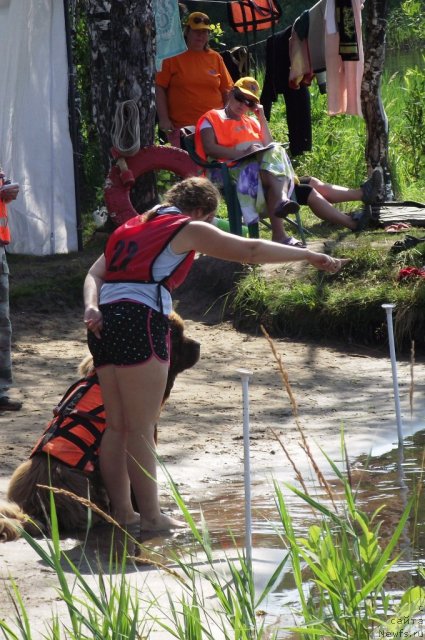 Фото: ньюфаундленд Komandor iz Medvej'ego YAra (Командор из Медвежьего Яра), Ekaterina Plotnikova (Екатерина Плотникова)