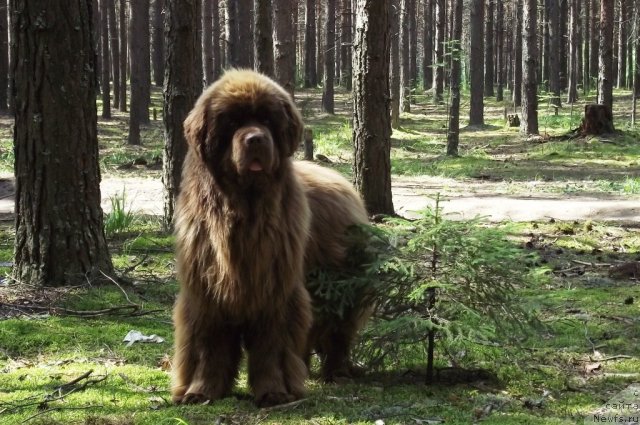 Фотография № 73532