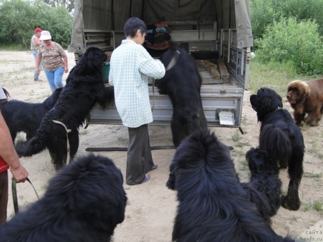 Фото: Galiya Gizatullina (Галия Гизатуллина)