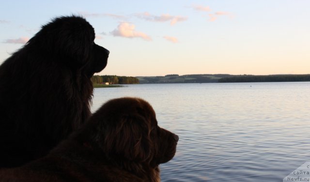 Фотография № 73541