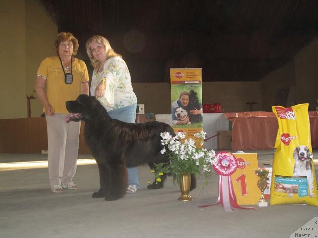 Фотография № 73551