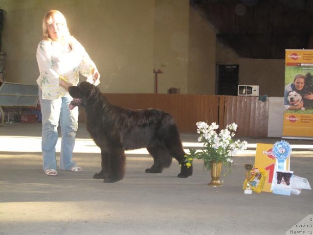 Фотография № 73552