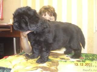 Фотография № 7356