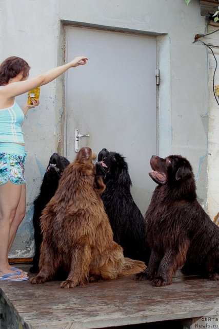 Фотография № 73581