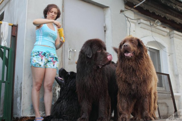 Фотография № 73582