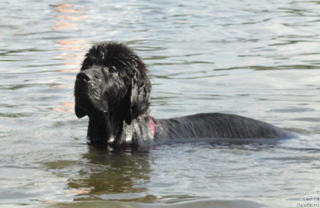 Фото: Бегущая по волнам Дабл Дэар