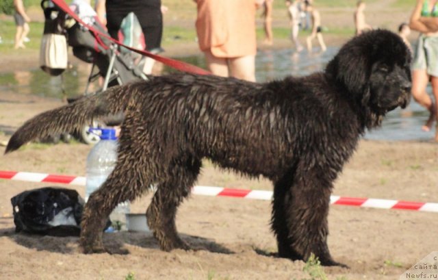 Фотография № 73749