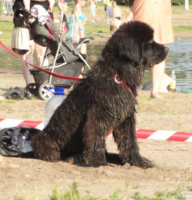 Фотография № 73750