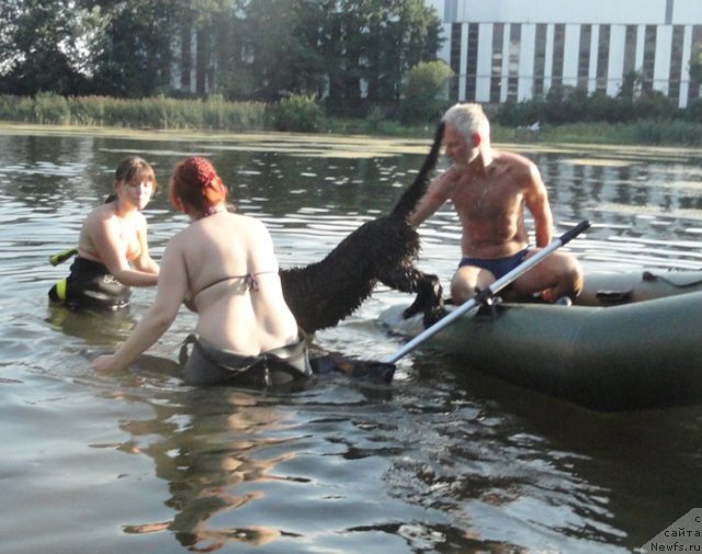 Фото: Бегущая по волнам Дабл Дэар