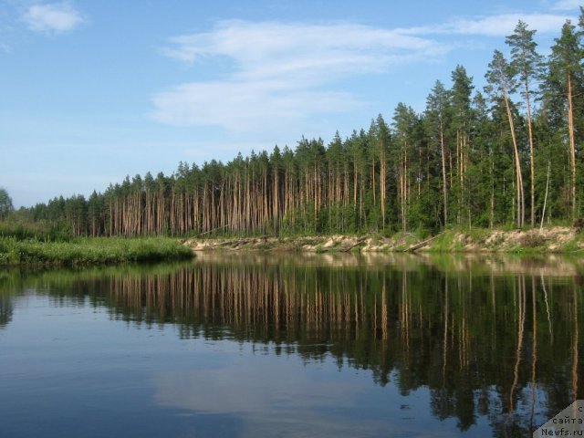 Фотография № 73766