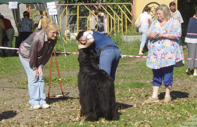 Фото: Ol'ga Braslavskaya (Ольга Браславская), ньюфаундленд Funnewf Uletnaya Devchenka (Фанньюф Улетная Девчонка)