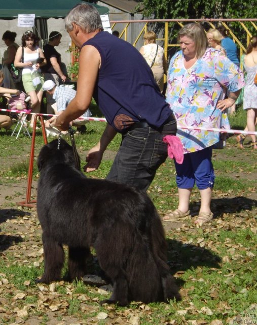 Фотография № 73799