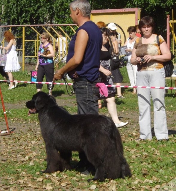 Фотография № 73800