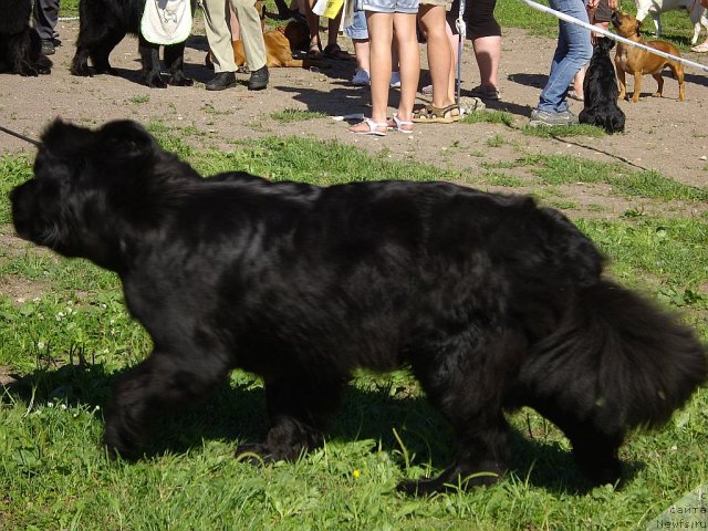 Фотография № 73807