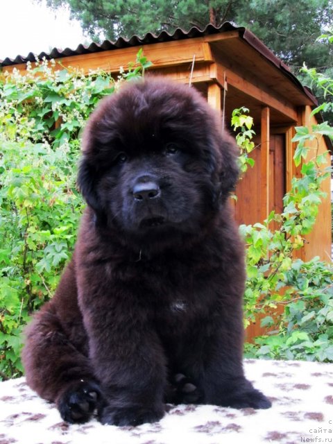 Фотография № 73848