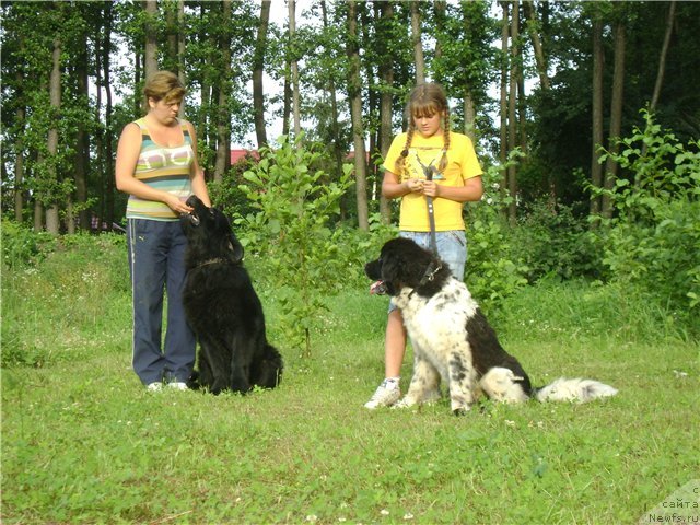 Фото: Elena Muha (Елена Муха)