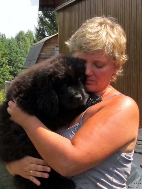 Фото: ньюфаундленд Byella Moss Citerius (Бэлла Мосс Цитериус), Svetlana Artyomova (Светлана Артёмова)