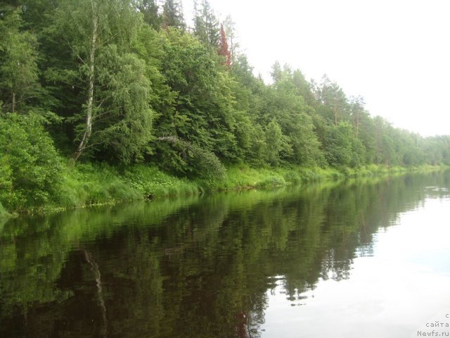 Фотография № 73954