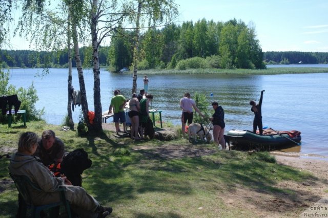 Фотография № 73976