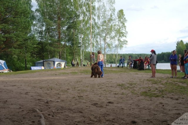 Фото: Tat'yana Rozanova (Татьяна Розанова)