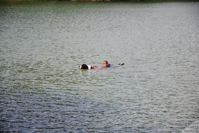 Фотография № 74029