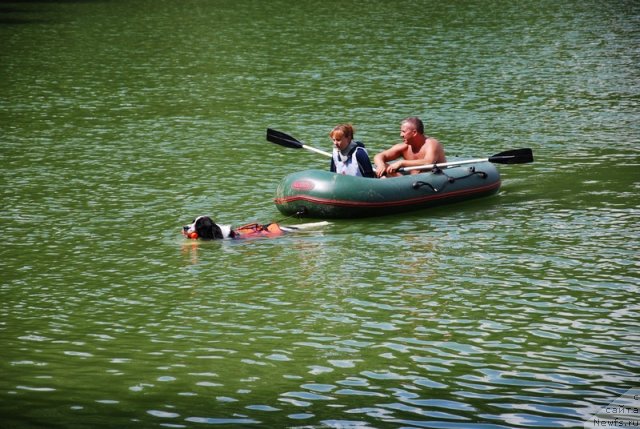 Фотография № 74030