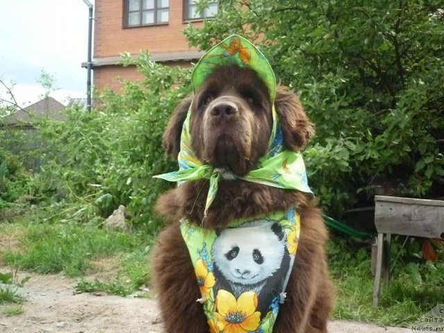 Фотография № 74140