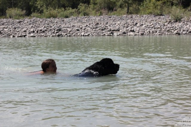 Фотография № 74193