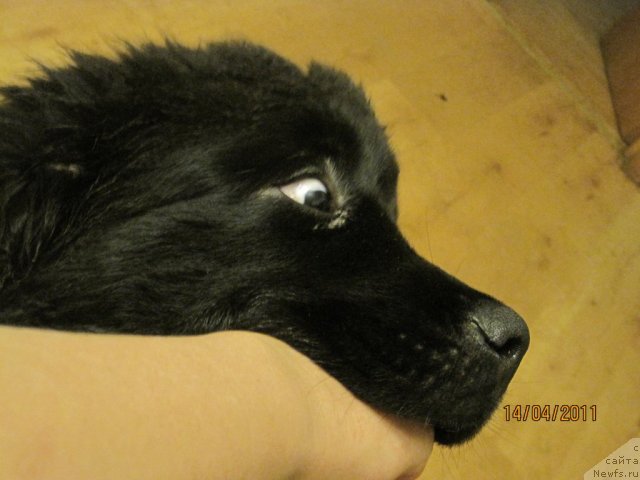 Фото: Lena Zyirina (Лена Зырина)