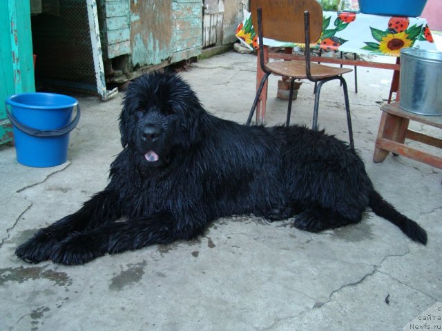 Фотография № 74358