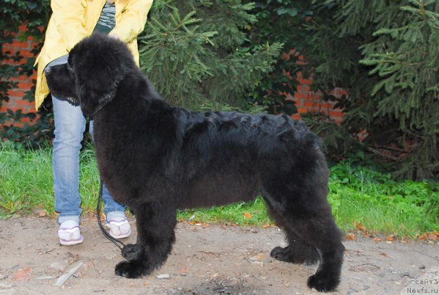 Фотография № 74410