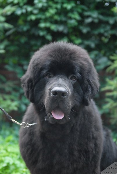 Фотография № 74413